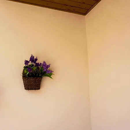 Sea&sun Apartment *